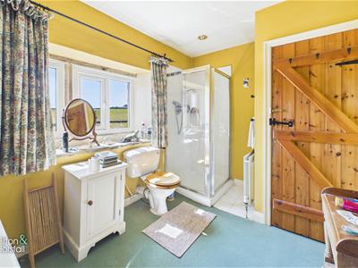 Picture 11